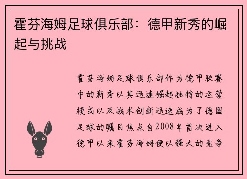 霍芬海姆足球俱乐部：德甲新秀的崛起与挑战